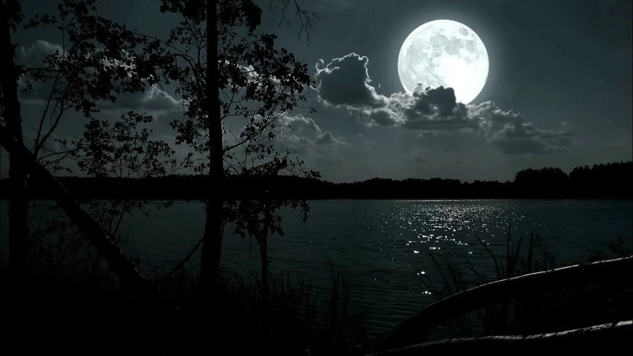 Only moon. Лунная ночь в лесу. Ночной пейзаж с луной. Полная Луна. Ночь озеро Луна.
