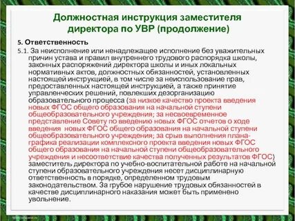 Инструкция заместителя директора по экономике