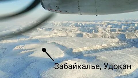 Чара удоканский