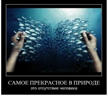 Самое прекрасное в самом обычном