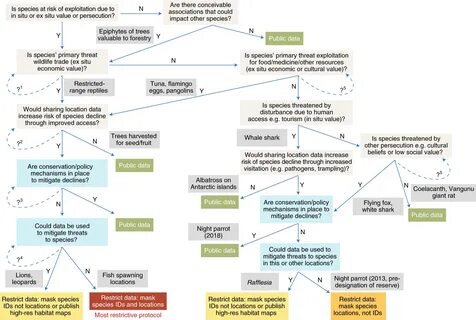 Risks of risk decisions