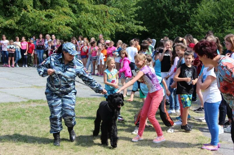 Лагерь огонек светлогорск. Летний лагерь огонёк Светлогорск. Лагерь огонек Калининградская область. Калиненград лагерь огонëк. Детский лагерь огонек Светлогорск.