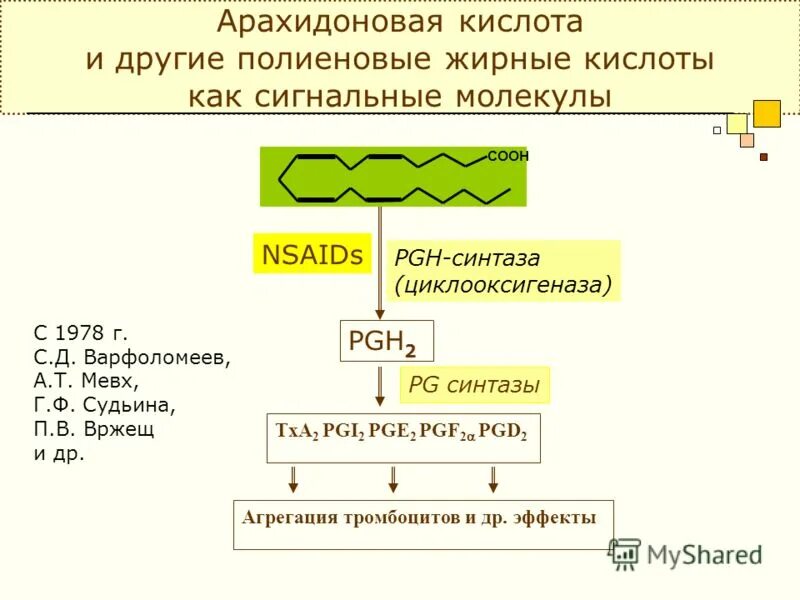 Арахидоновая кислота структурная формула. Арахидоновая кислота формула. Арахиновая и арахидоновая кислота. Арахидоновая структурная формула. Формула арахидоновой кислоты