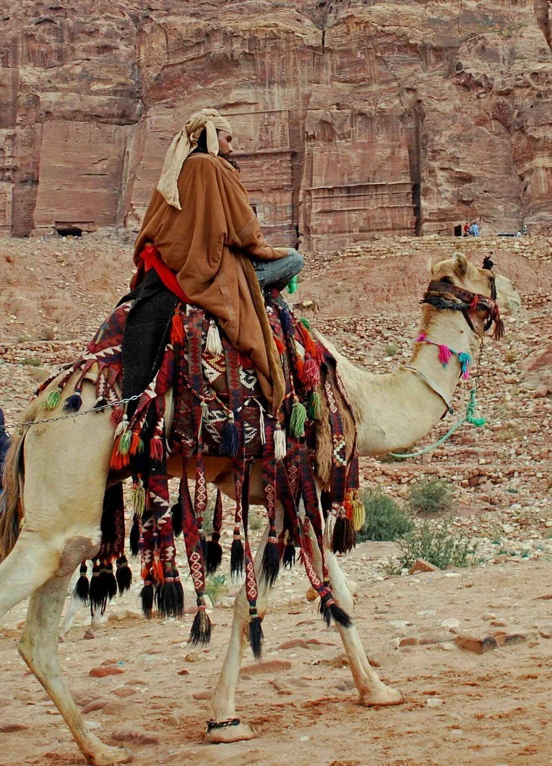 основным занятием арабов бедуинов аравийского полуострова. кочевники бедуины. синайский полуостров бедуины. основным занятием арабов бедуинов аравийского полуострова. жители пустыни бедуины египет.