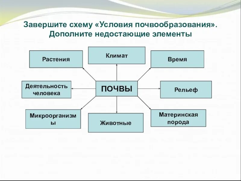 6 класс. География. Презентация. "Почва"