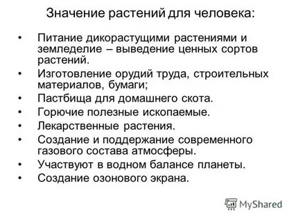 Какие утверждения верны ботаника наука о растениях