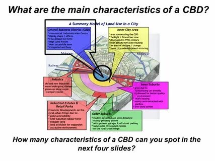 Main characteristics