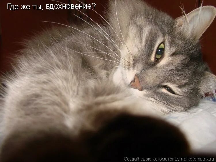 ну где то 7. гдето я это уже видел мем. ну где то 7. ты где картинки. куда вы пропали картинки прикольные.