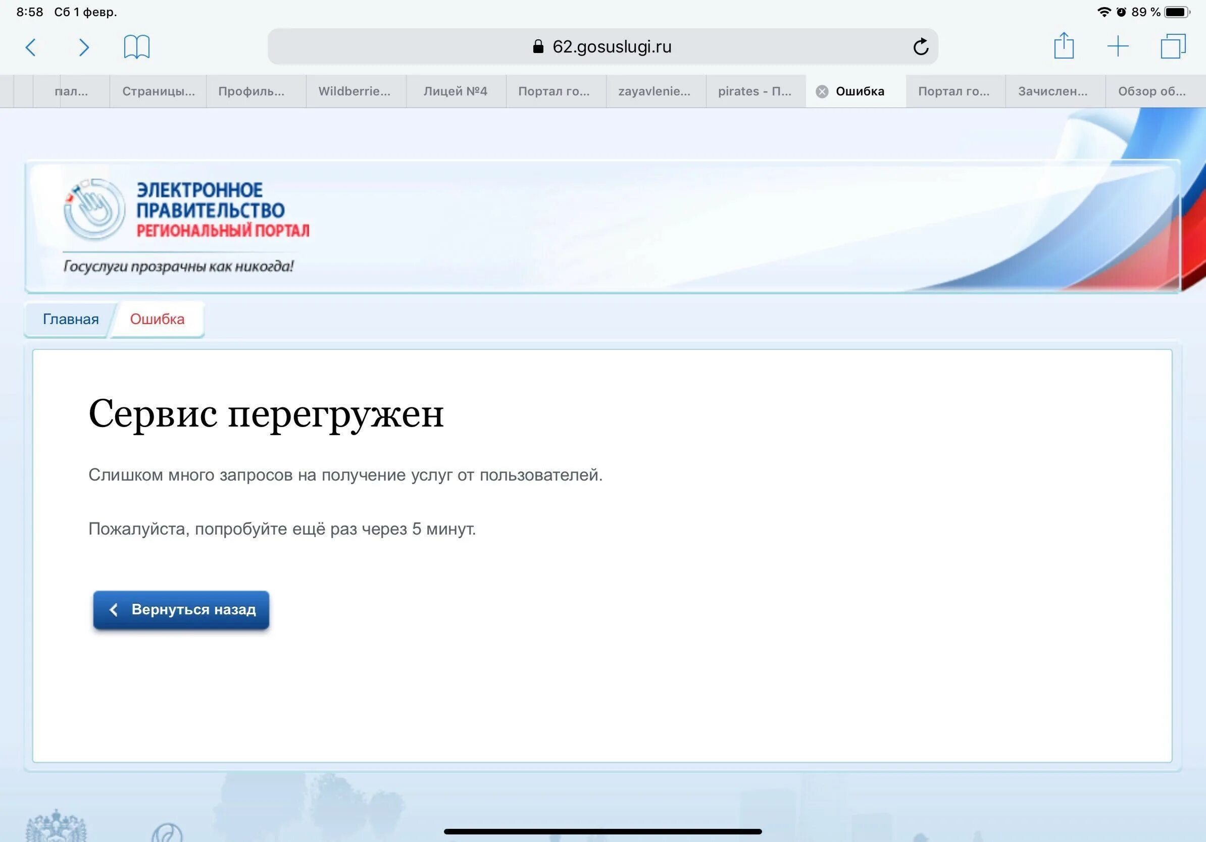 Новгородский региональный портал госуслуг. Ошибка на госуслугах. Госуслуги висят. Скрин о голосовании на госуслугах. Ошибка сайта госуслуги.