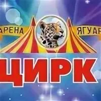 Цирк в йошкар оле
