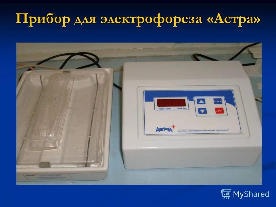 прибор для электрофореза в агарозном геле bio rad. аппарат для электрофореза элфор. каким аппаратом для электрофореза. каким аппаратом для электрофореза. невотон элфор-проф схема.