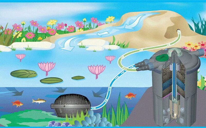 Очистка речной воды. Очистные сооружения воды для детей. Очистительные сооружения для воды для детей. Фильтрация воды в пруду. Система фильтрации для пруда.