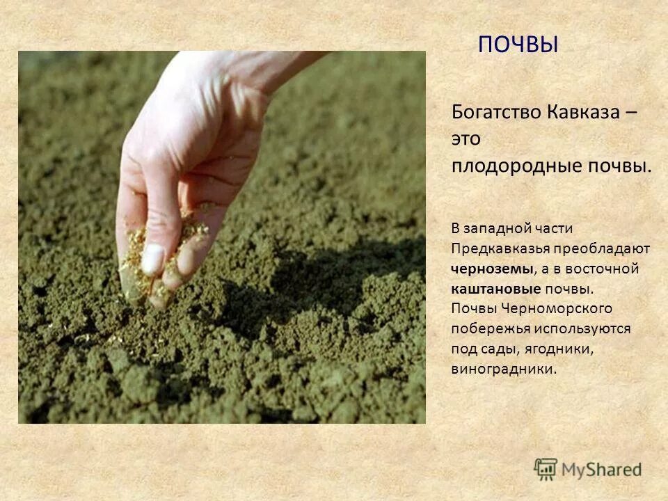 Аллювиальные светлогумусовые почвы. Содержание гумуса в черноземных почвах. Самые плодородные почвы в мире. Какая почва является самой плодородной. Какая почва является самой плодородной.