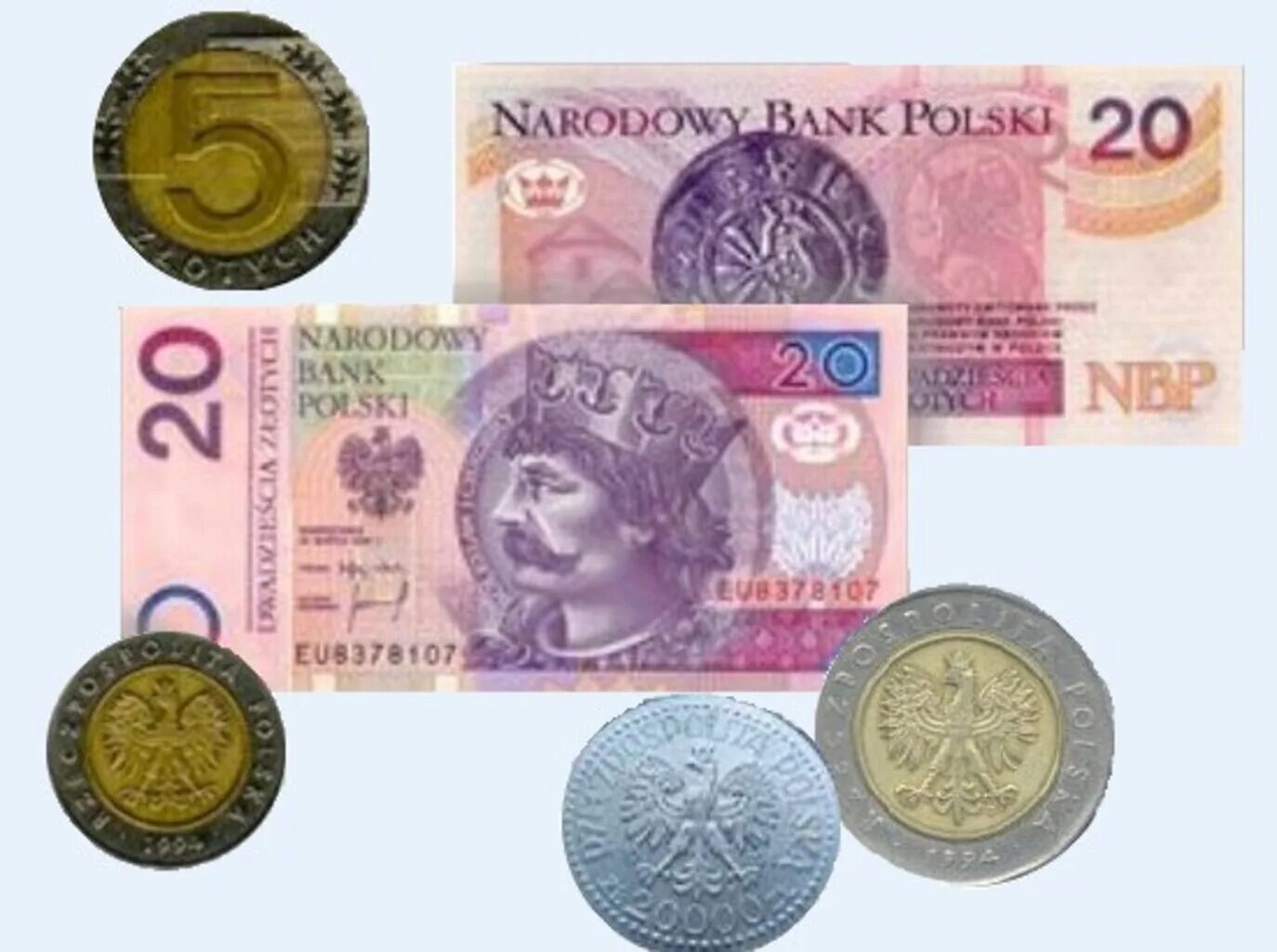 Польская денежная единица. Польские деньги. Валюта Польши фото. Денежная единица Польши. Польский злотый.