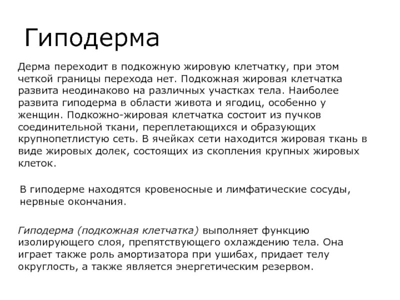 Играет роль амортизатора при ушибах. Функции гиподермы. основные функции гиподермы:. роль гиподермы. особенности гиподермы.