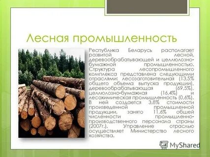 Почему лесная промышленность расположена на крупных реках