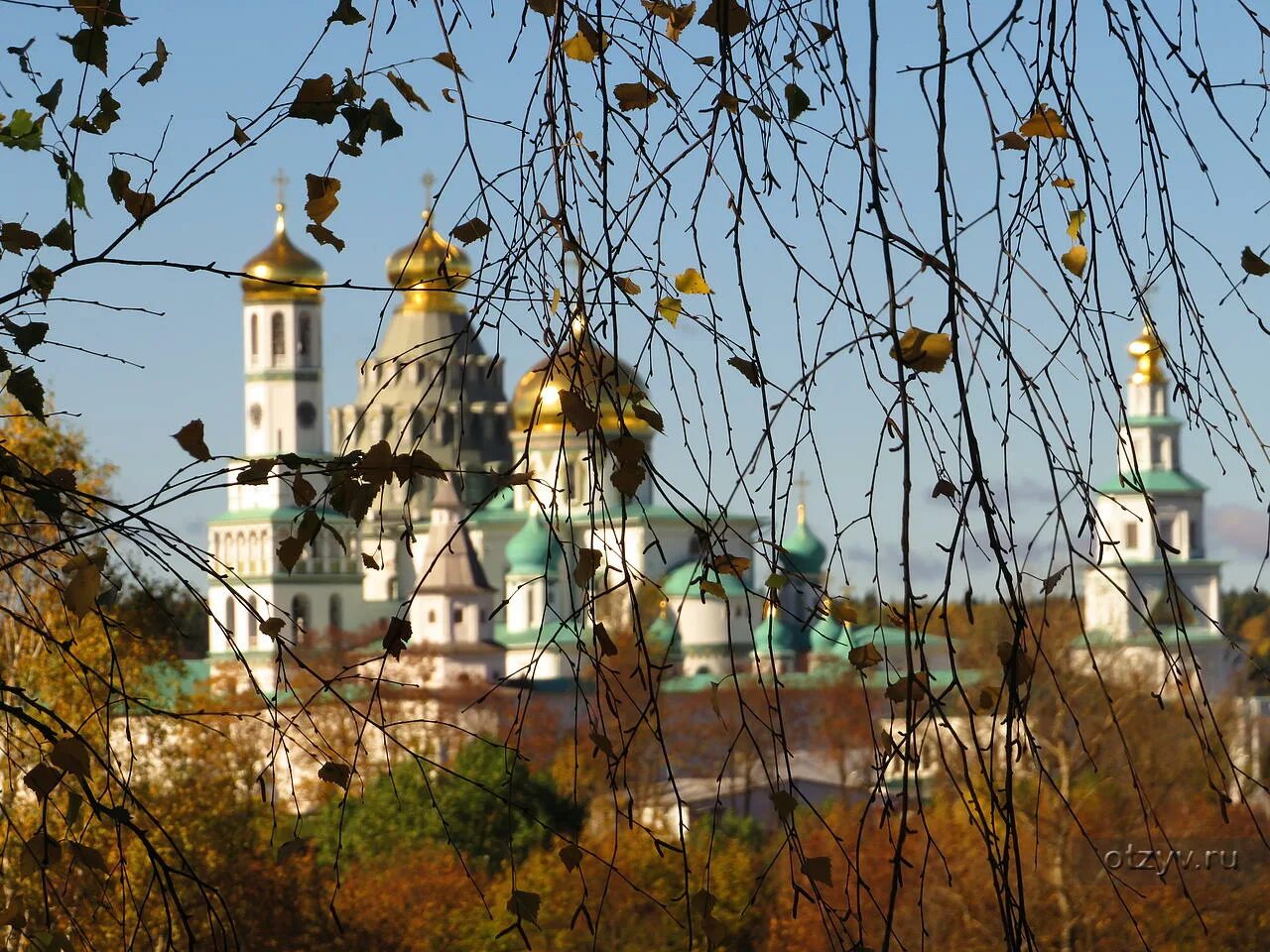 Сайт золотое подмосковье. Сайт золотое подмосковье. Золотая осень в подмосковье. Сайт золотое подмосковье. Сайт золотое подмосковье.
