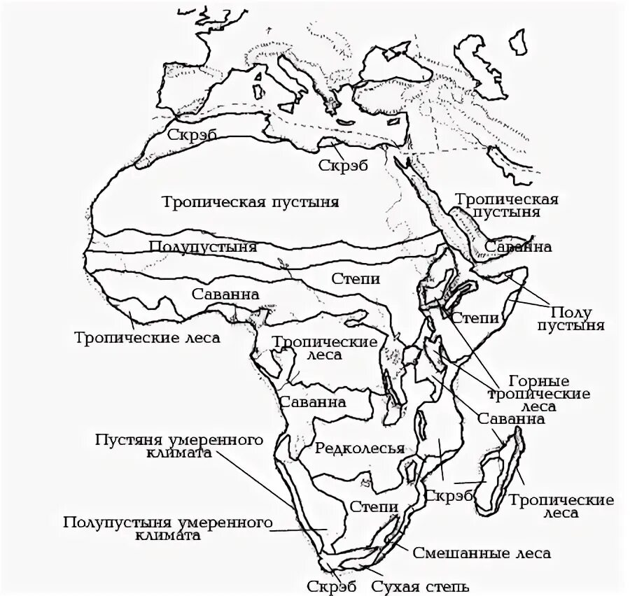 Природные зоны Африки контурная карта. Африка природные зоны и климатические пояса карта. Природные зоны Африки 7 класс контурные карты. Климатические пояса Африки на контурной карте.