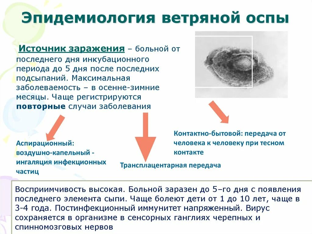 Эпидемиология ветряной оспы. Эпидемиология при ветряной оспе. Патогенез ветряной оспы. Ветряная оспа патогенез.