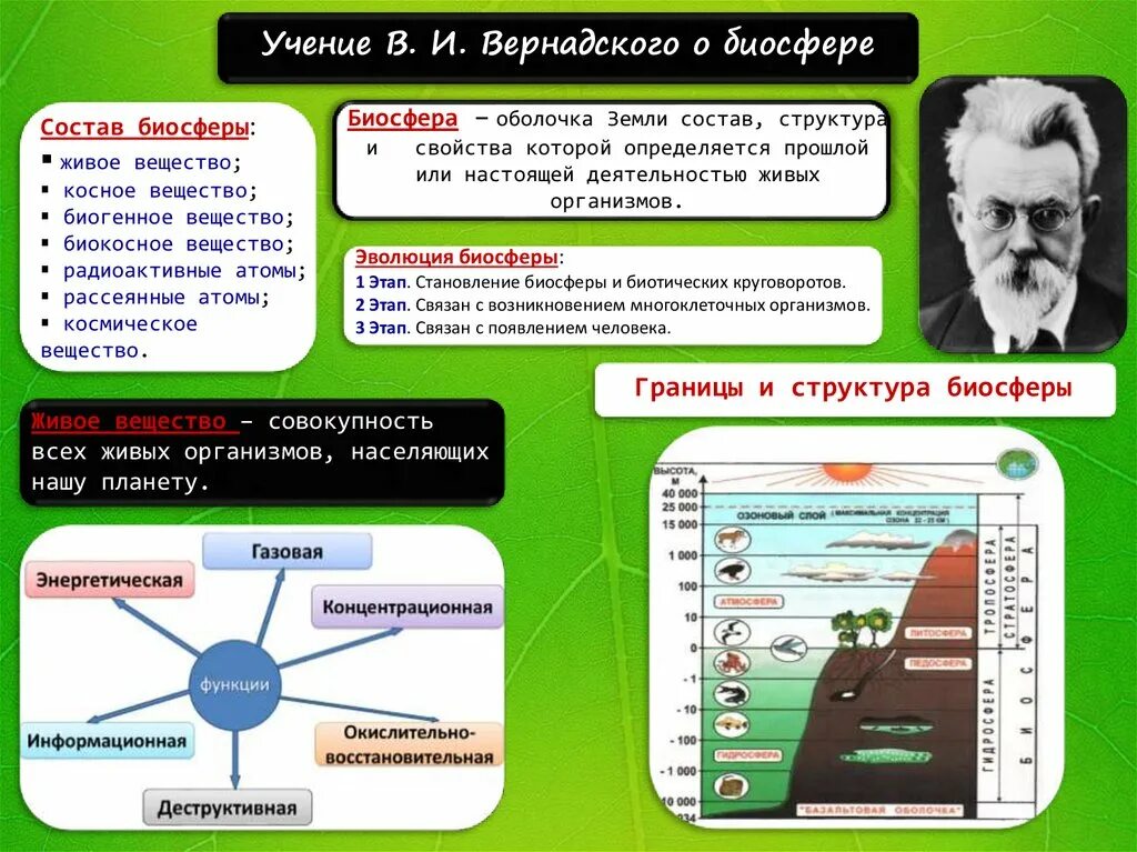 Биосфера таблетки. Учение о биосфере. Вернадский Биосфера. Биосфера учение Вернадского о биосфере. Учение о биосфере презентация.