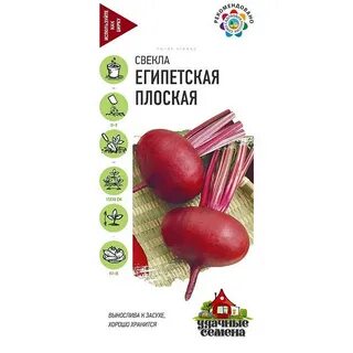 Свекла египетская