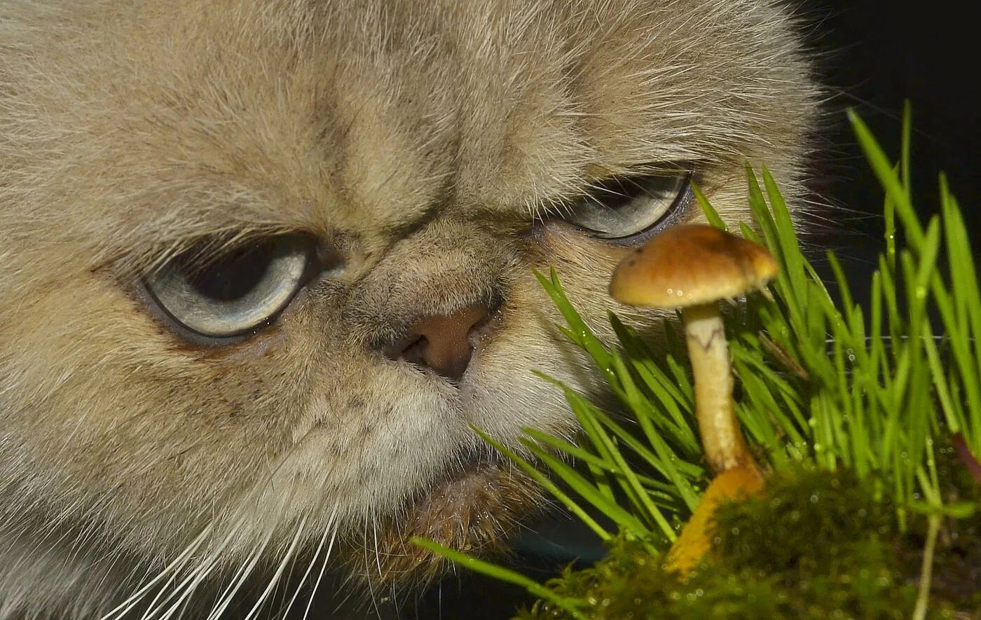 В упор не видим