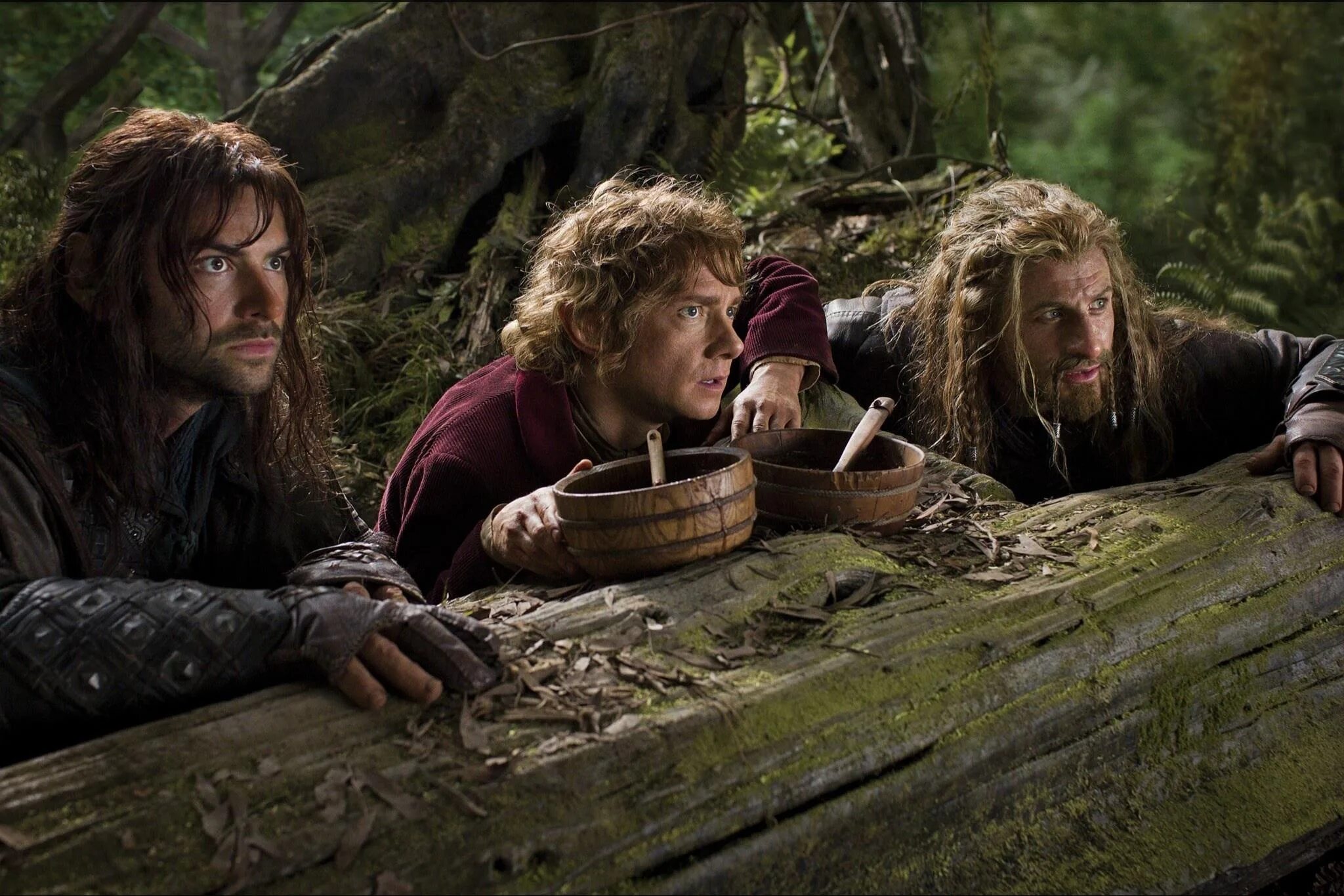 Хоббит hobbit. Бильбо бэггинс гном фили. хоббит фили и кили. хоббит нежданное путешествие кили. гном кили и фили.