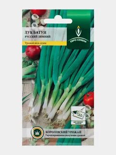 Лук батун название 7