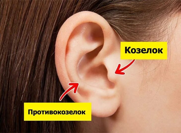 Прийти на ушах