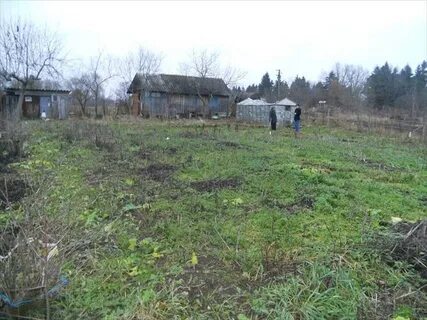 Погода в скреблове
