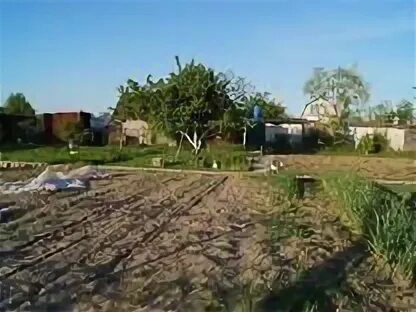 Селиховы дворы курская область