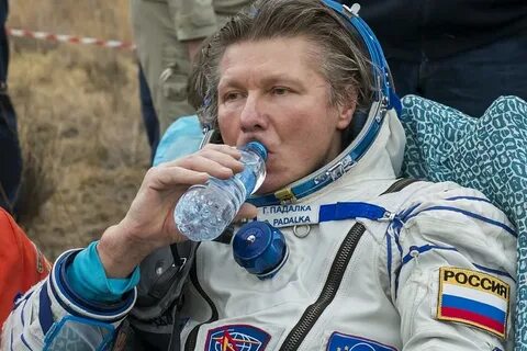 Падалка
