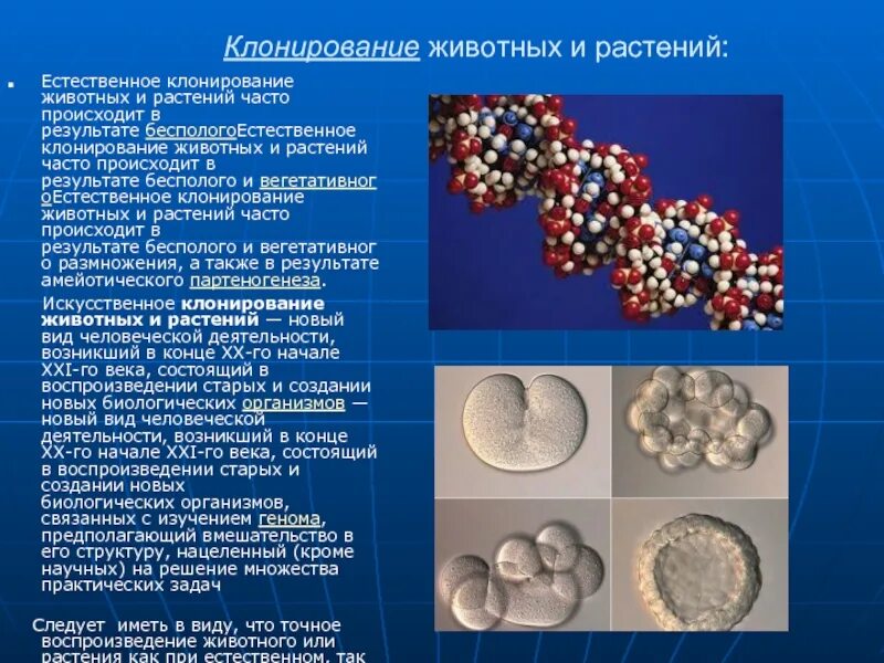 Почему растения клонируются легче животных. Клонирование растений и животных. Искусственное клонирование животных и растений. Клонирование животных презентация. Клонирование растений и животных презентация.