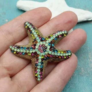 Покажи морскую звезду