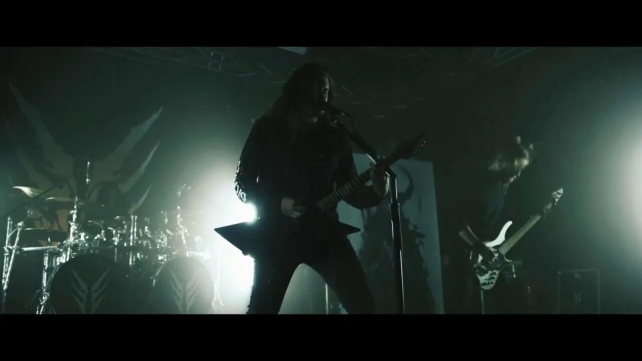 Pulse of the maggots