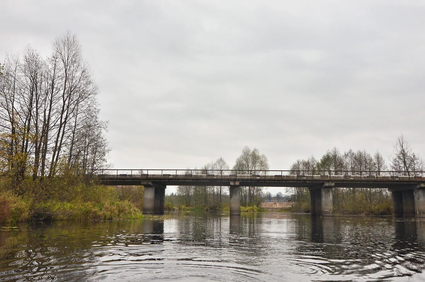 Мост в Кожино Арзамас. Мост через реку Сережа Нижегородская область Арзамасский район.