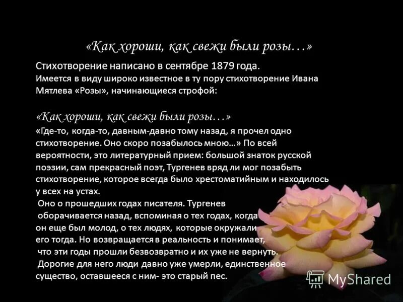 Стихотворение роза тургенев. Стихотворения в прозе. Как хороши как свежи были розы в моем саду. Тургенев стихи о любви. Стих как хороши как свежи были розы.