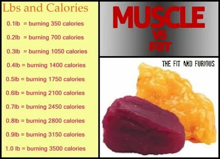 How Many Calories Are in a Pound of Body Fat? 