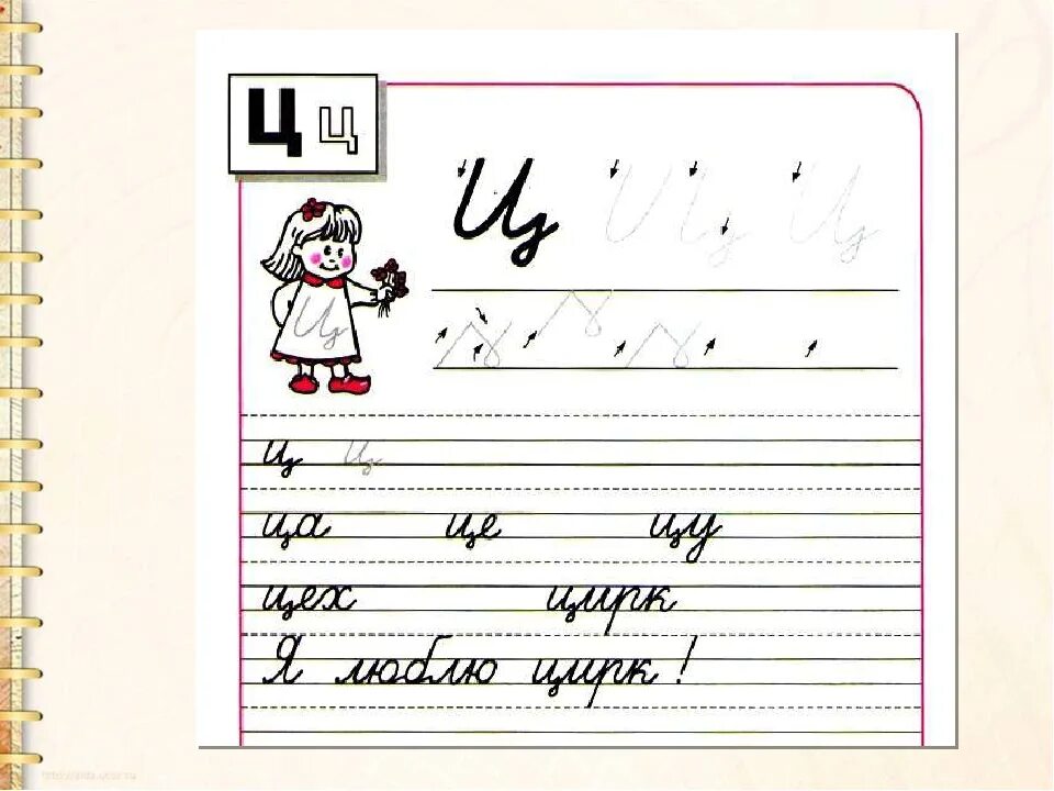 Письмо новой буквы. Письмо заглавной буквы а. Письменная строчная буква ц. Письмо строчной и заглавной буквы а. Строчная бука ц.