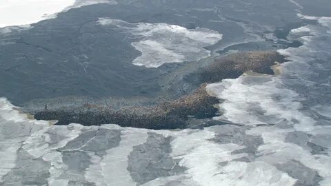 Реки берингова моря