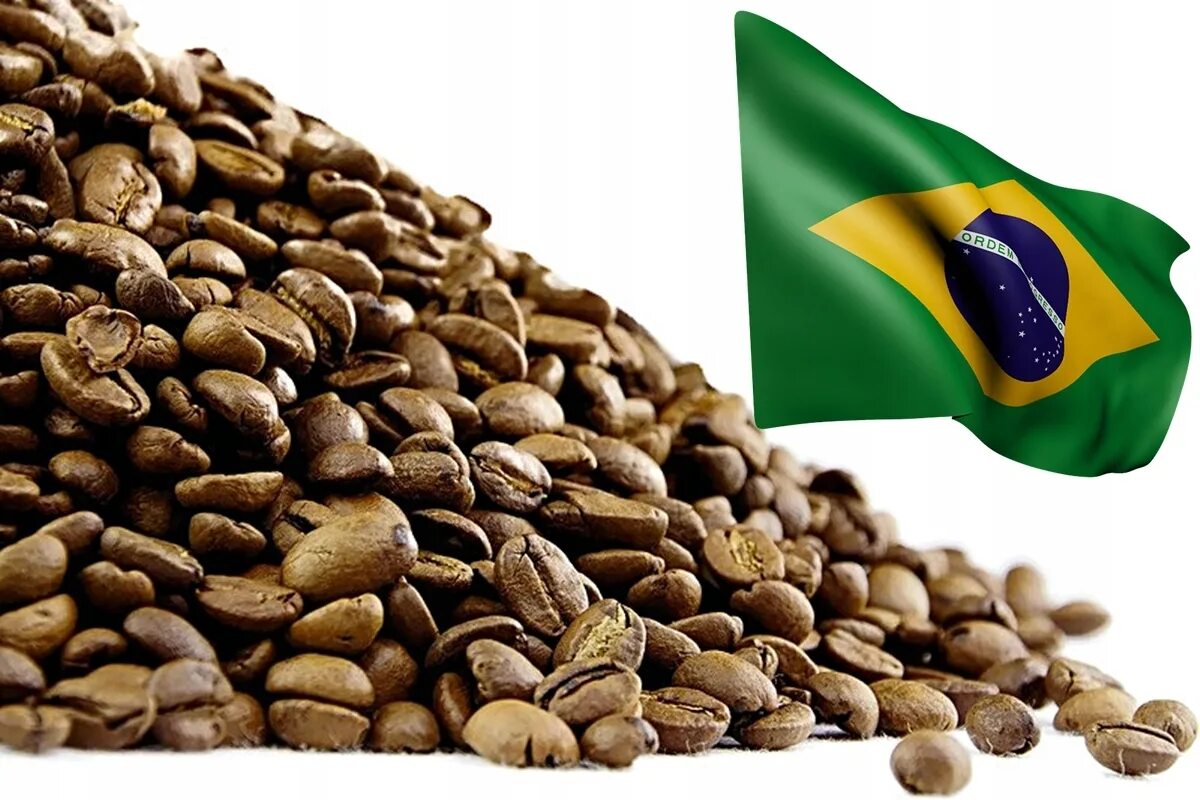 Лучшие зерна арабики. Кофе в зернах Бразилия Сантос. Бразилия Сантос плантация кофе. Арабика Бразилия Сантос. Бразилия кофе Арабика.