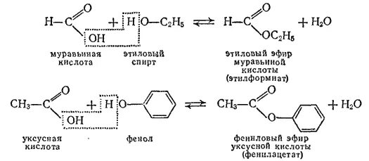 Реакция этерификации фенола с уксусной кислотой. Фенол реакция этерификации. Реакции этерификации фенолов. Взаимодействие фенола с уксусной кислотой. Муравьиная кислота этиловый эфир муравьиной кислоты реакция