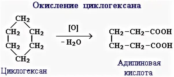 2 изомером циклогексана является