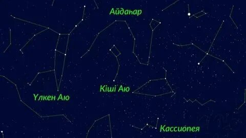 Бір-бірінің есектерінен қаймақ жейді