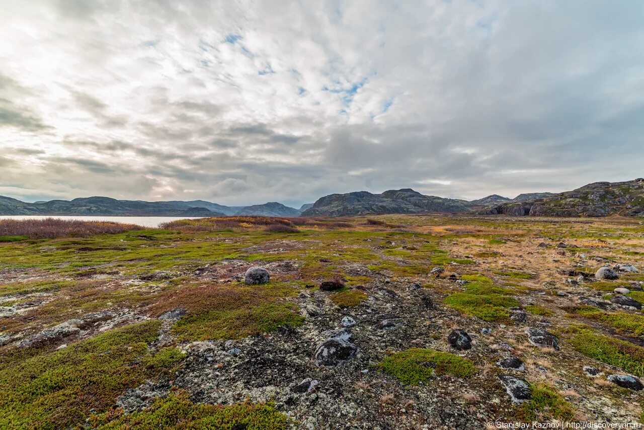 новый уренгой тундра осенью. тундра безлесная равнина. природа тундра новый уренгой. ландшафт – горная тундра магадан. покажи лесотундру.