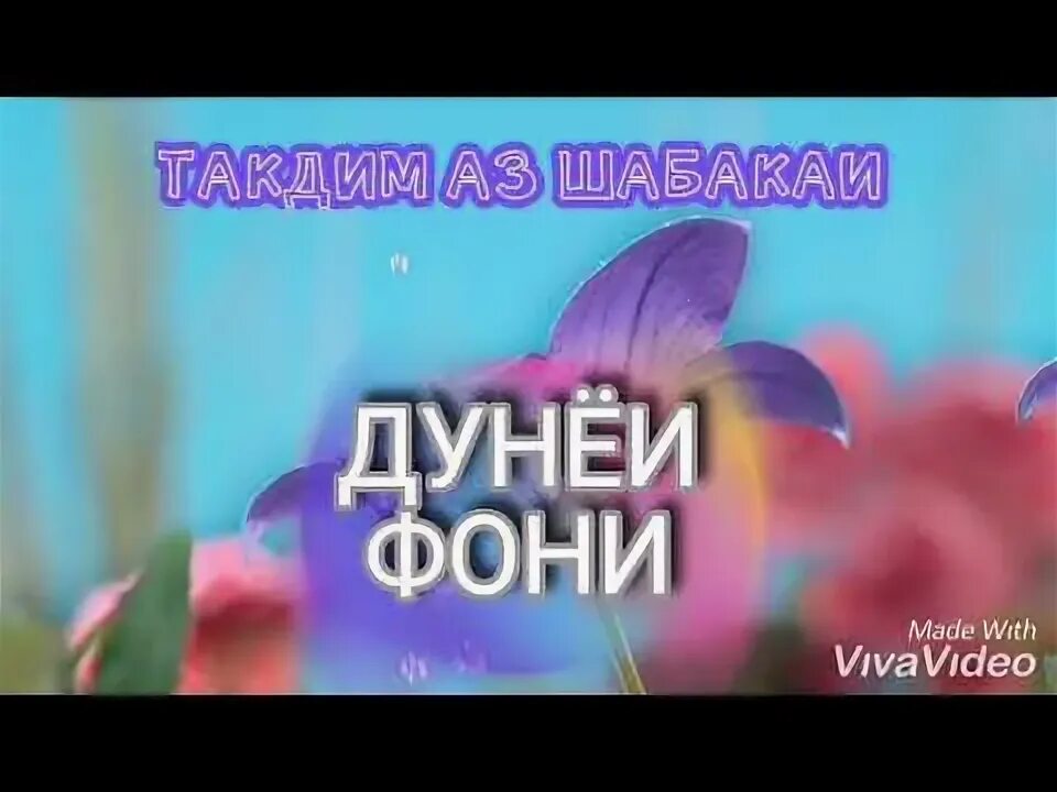 Дунёи фони. Дунёи фони УКБОИ боки. Дунёи фони ва УКБОИ боки.