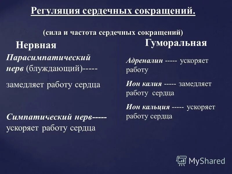 При возбуждении блуждающего нерва. Регуляция частоты сердечных сокращений. Влияние блуждающего нерва. Блуждающий нерв замедляет работу сердца. Влияние блуждающих нервов на сердце.