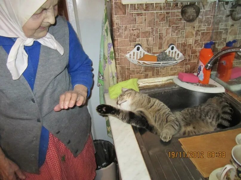 Топить котят это грех. Топить котят это грех
