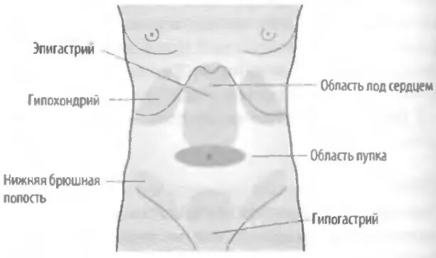 Эпигастрия лечение. Абдоминальная зона. Область эпигастрия. Эпигастральной области живота. Подложечная область.