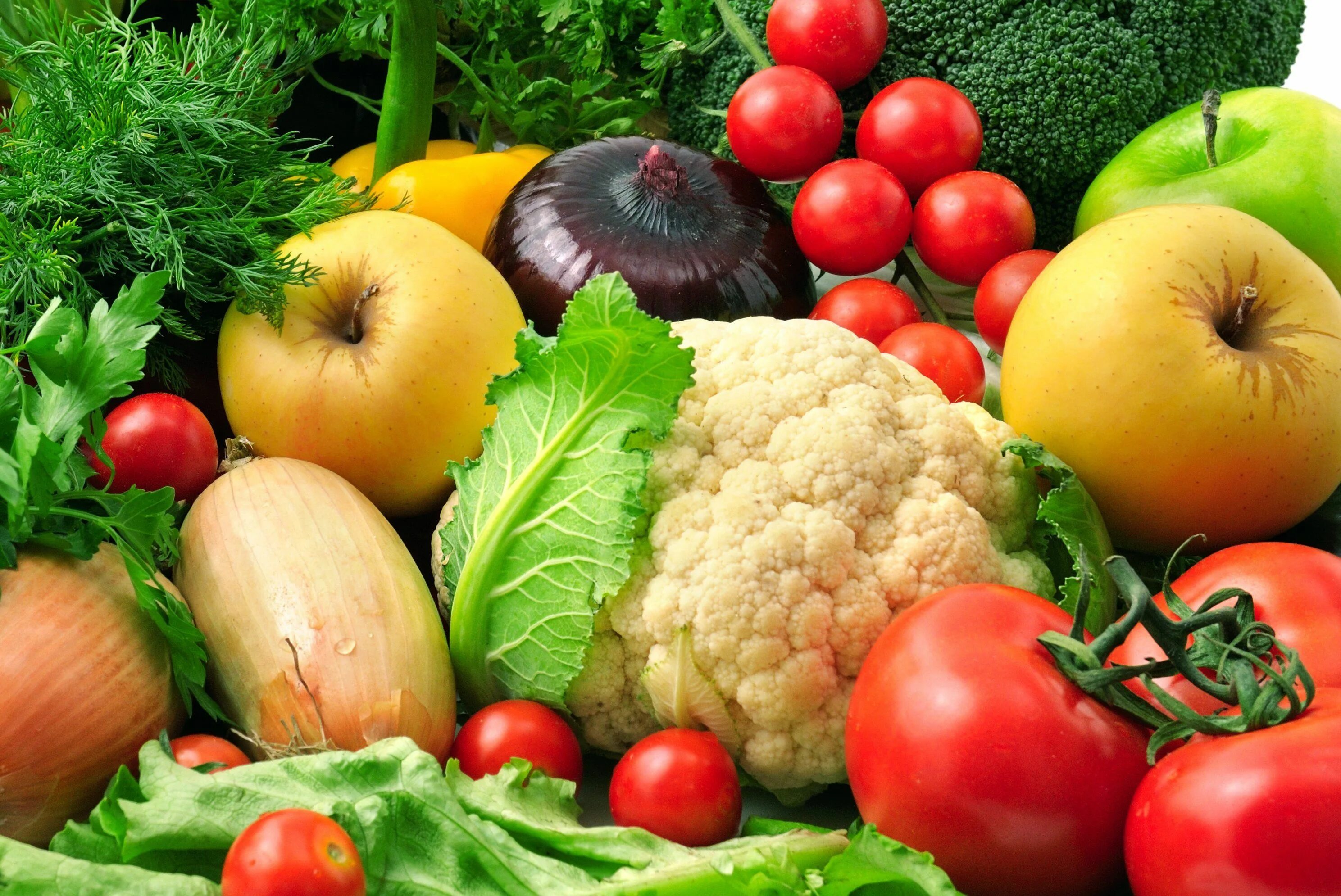 Овощи картинки. Овощи и фрукты. Красивые овощи. Продукты овощи. Овощи для щей.
